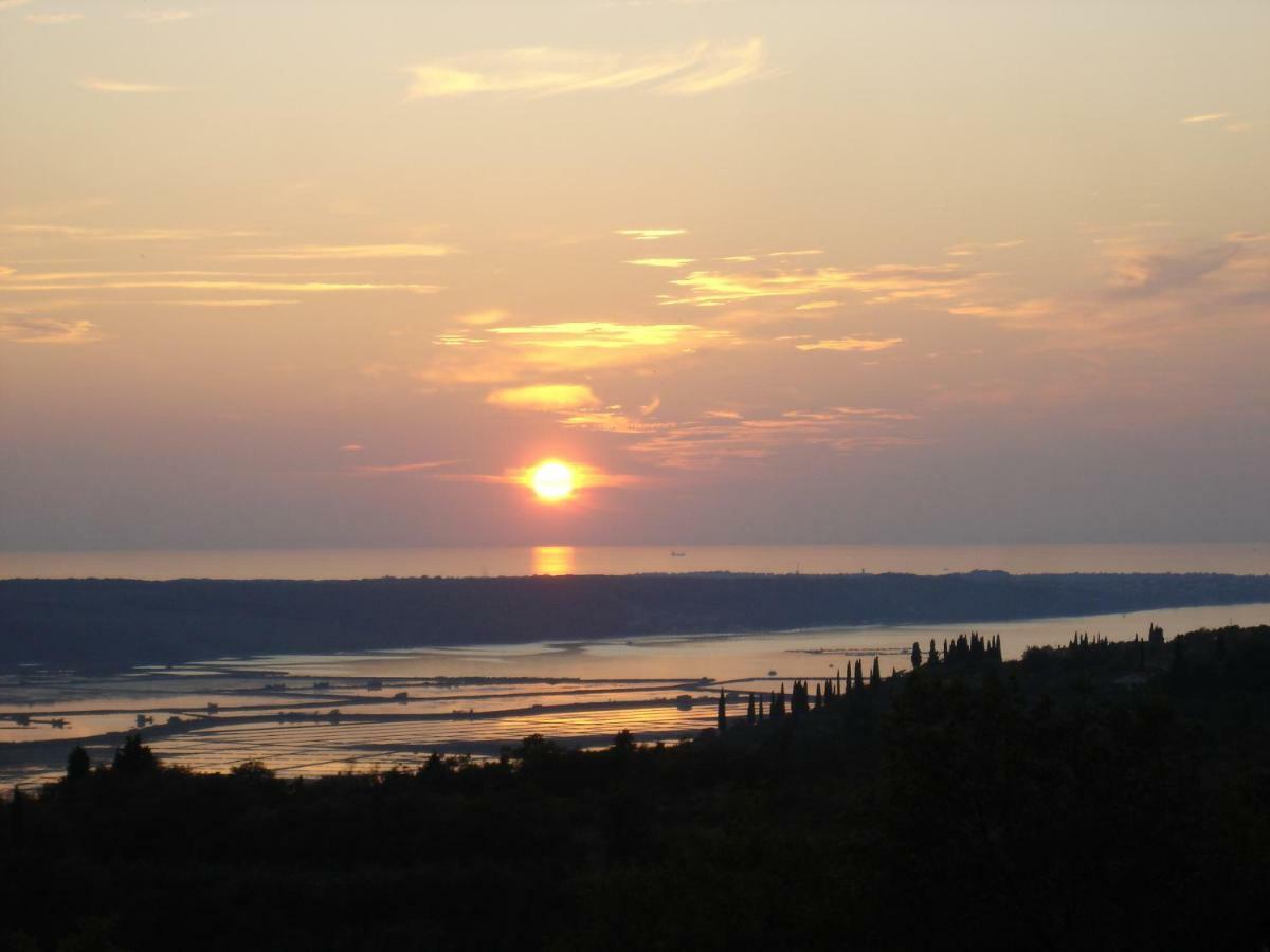 Apartma Medosi Izola Zewnętrze zdjęcie